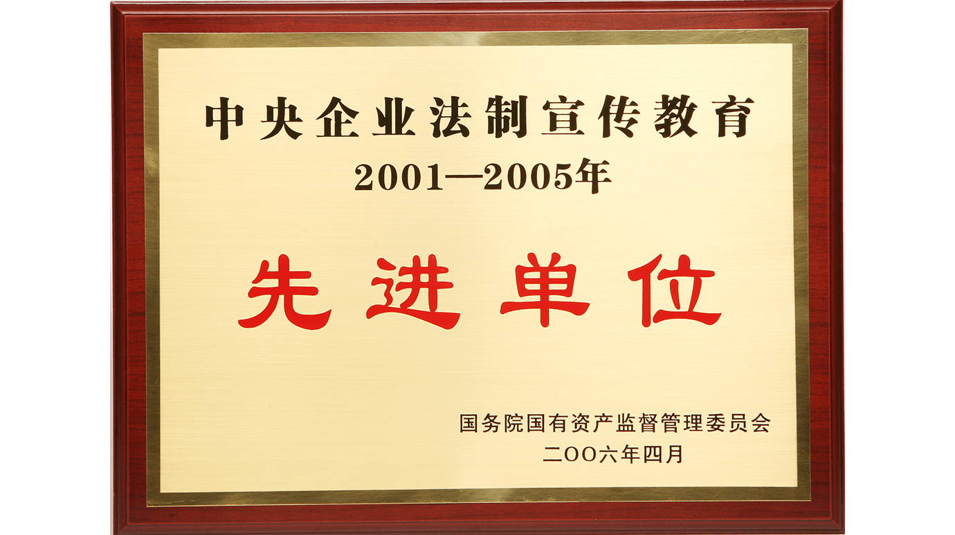 20065