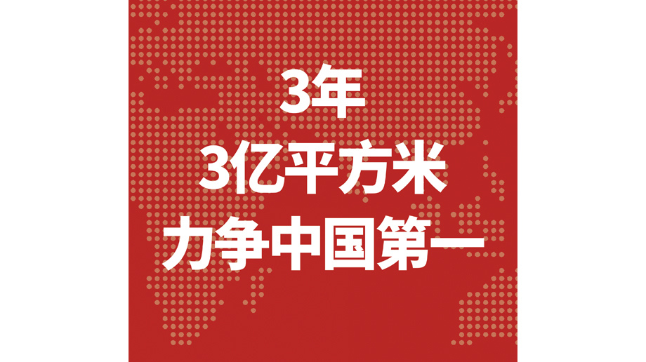 20046